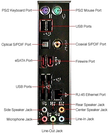 Back Panel Connectors