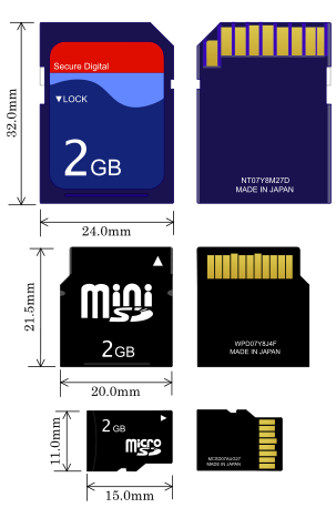 SD memory card full size, mini, and micro
