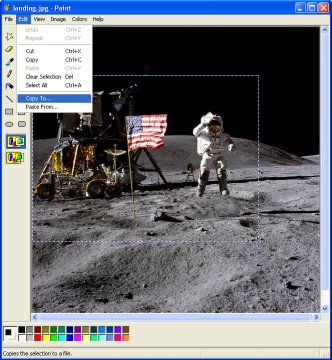 Choose Copy To... to save an area to an image file.