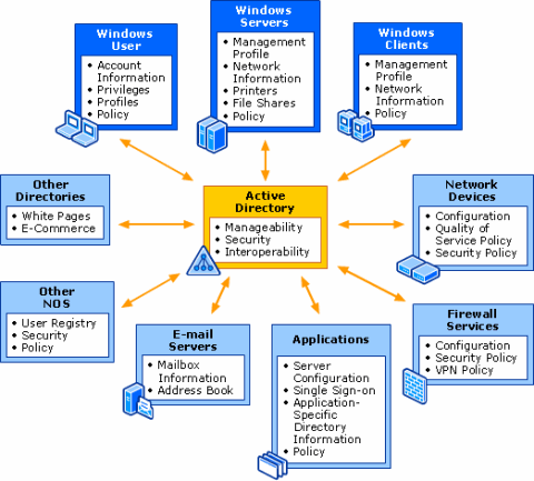 windows common folder designer