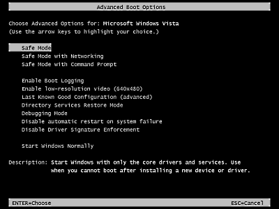 Advanced Boot Options screen