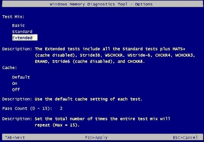 Memory diagnostic test options