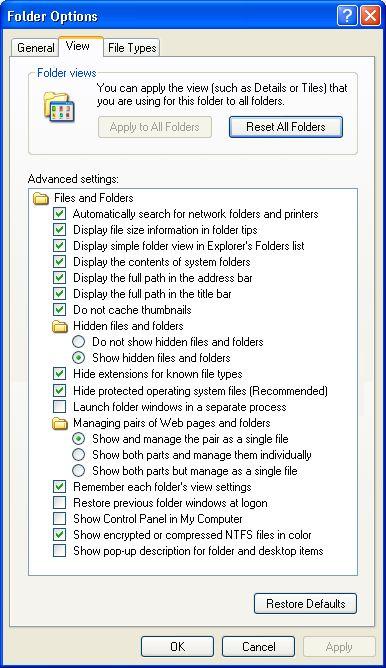 Folder Options View tab