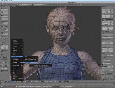 Blender 3D animation application