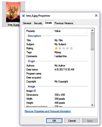 Image Properties dialog box