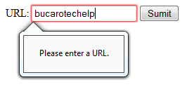 URL input box error