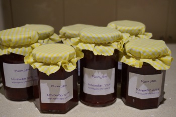 Homemade jam business