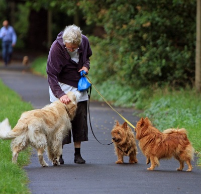 Dog Walker