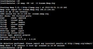 NMAP's command-line interface