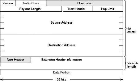 IPv6 header fields