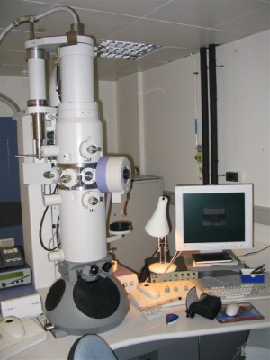 Electron Microscope